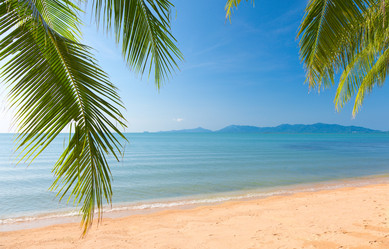 Similar image 7874298