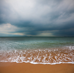 Similar image 7874299