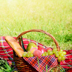 Similar image 7874306