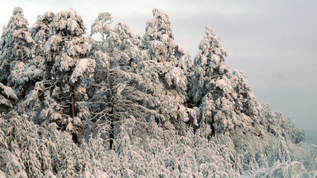 Similar image 7885630