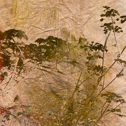 Similar image 7885634