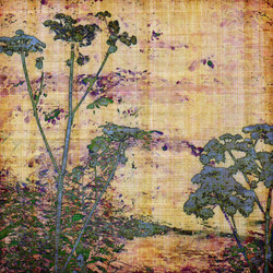 Similar image 7885674