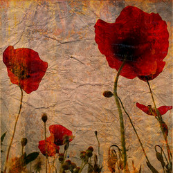 Similar image 7885716