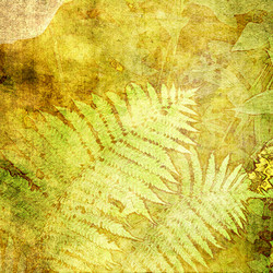 Similar image 7885732