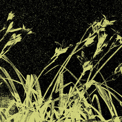 Similar image 7885735