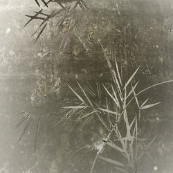 Similar image 7885762