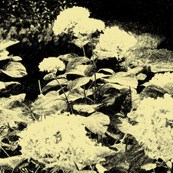 Similar image 7885767