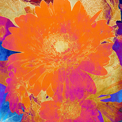 Similar image 7885784