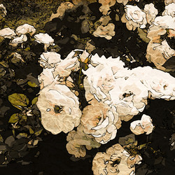 Similar image 7885802