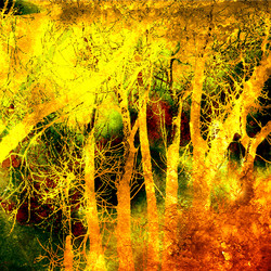 Similar image 7885824