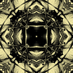 Similar image 7885854