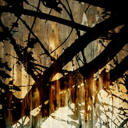 Similar image 7885861