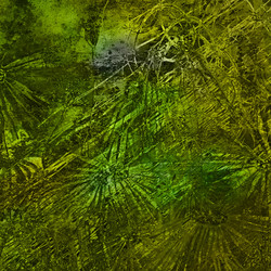 Similar image 7885889