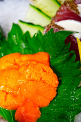 Similar image 7885896