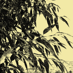 Similar image 7885944