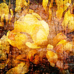 Similar image 7886001