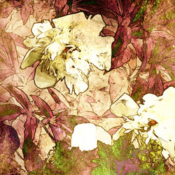 Similar image 7886021