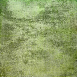 Similar image 7886029