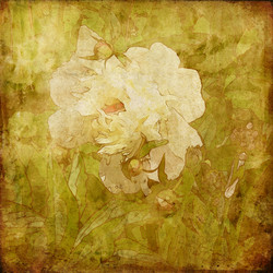 Similar image 7886030