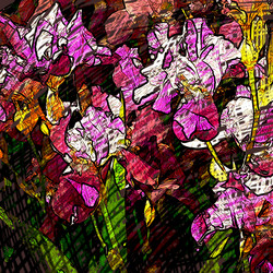 Similar image 7886043