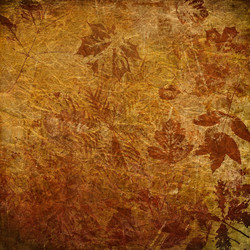 Similar image 7886076