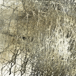 Similar image 7886089