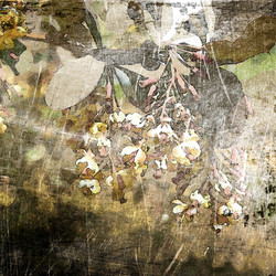 Similar image 7886092