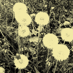 Similar image 7886134