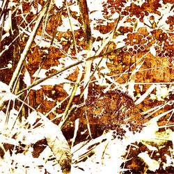 Similar image 7886213