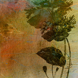 Similar image 7886220