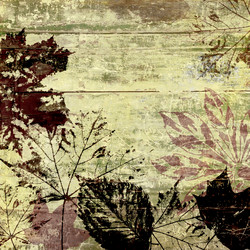 Similar image 7886222