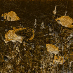 Similar image 7886229