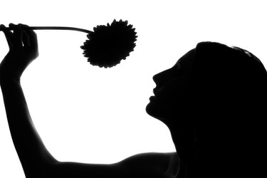 Similar image 7886238