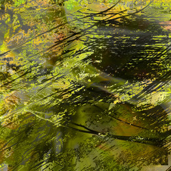 Similar image 7886243