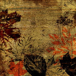 Similar image 7886249