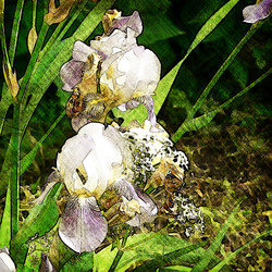 Similar image 7886262