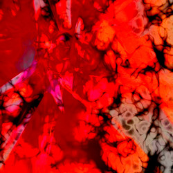 Similar image 7886270