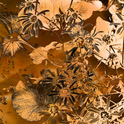 Similar image 7886305