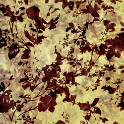 Similar image 7886312