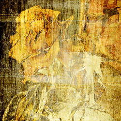 Similar image 7886384