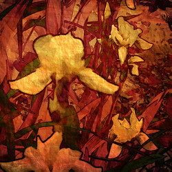 Similar image 7886398