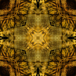 Similar image 7886403