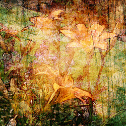 Similar image 7886425