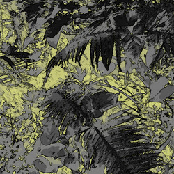 Similar image 7886485