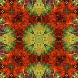 Similar image 7886486