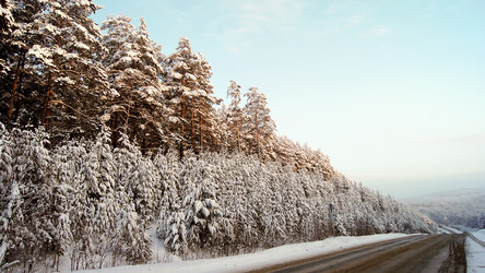 Similar image 7886712