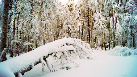 Similar image 7886713