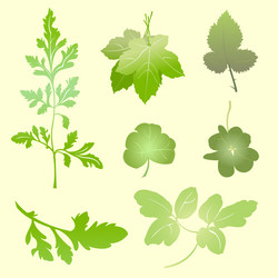 Similar image 7886761