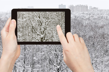 Similar image 7886772