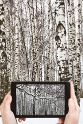 Similar image 7886774